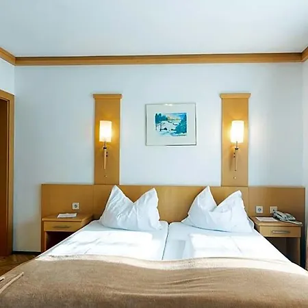 Hotel Alpenhotel Badmeister 3*