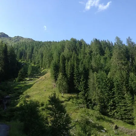 Hotel Alpenhotel Badmeister Flattach