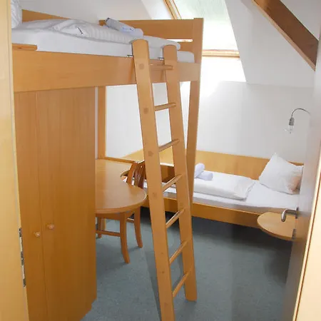 Hotel Alpenhotel Badmeister 3*