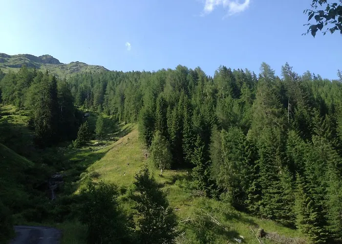 Hotel Alpenhotel Badmeister Flattach