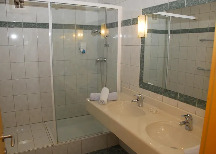 Hotel Alpenhotel Badmeister 3*