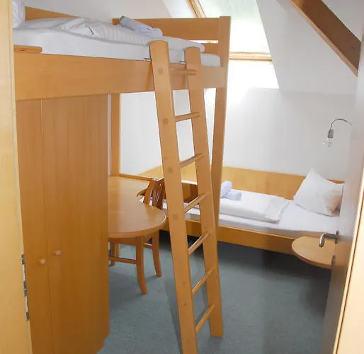 Hotel Alpenhotel Badmeister 3*