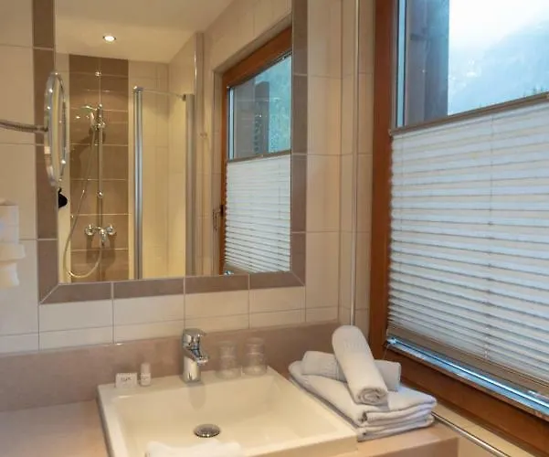 Hotel Alpenhotel Badmeister Flattach